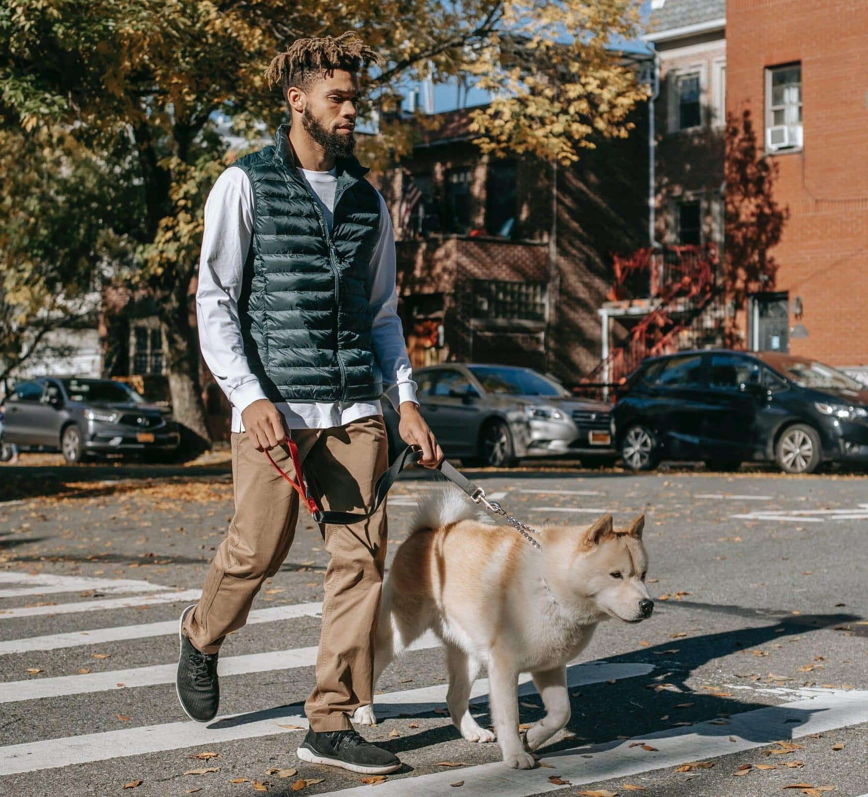 black guy walking dog