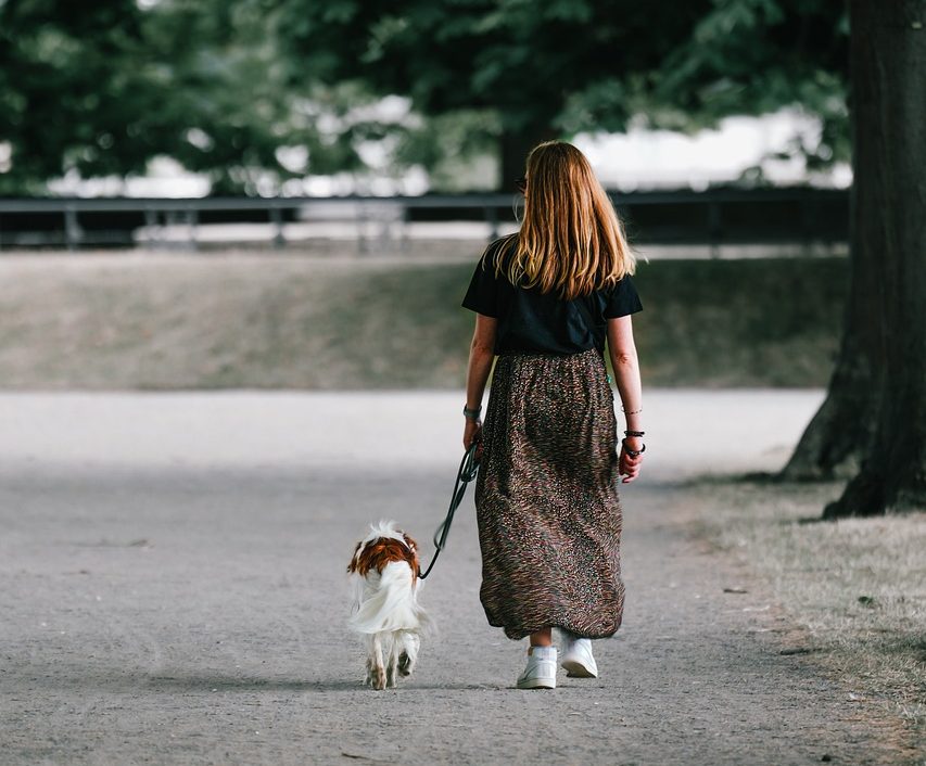 woman, dog, walk-7308033.jpg