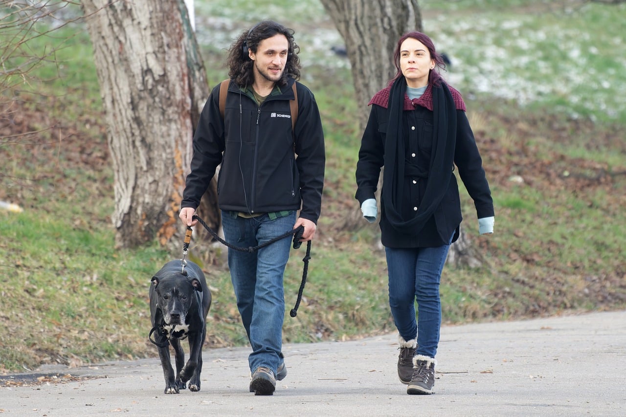 couple, friendship, happy-6891522.jpg